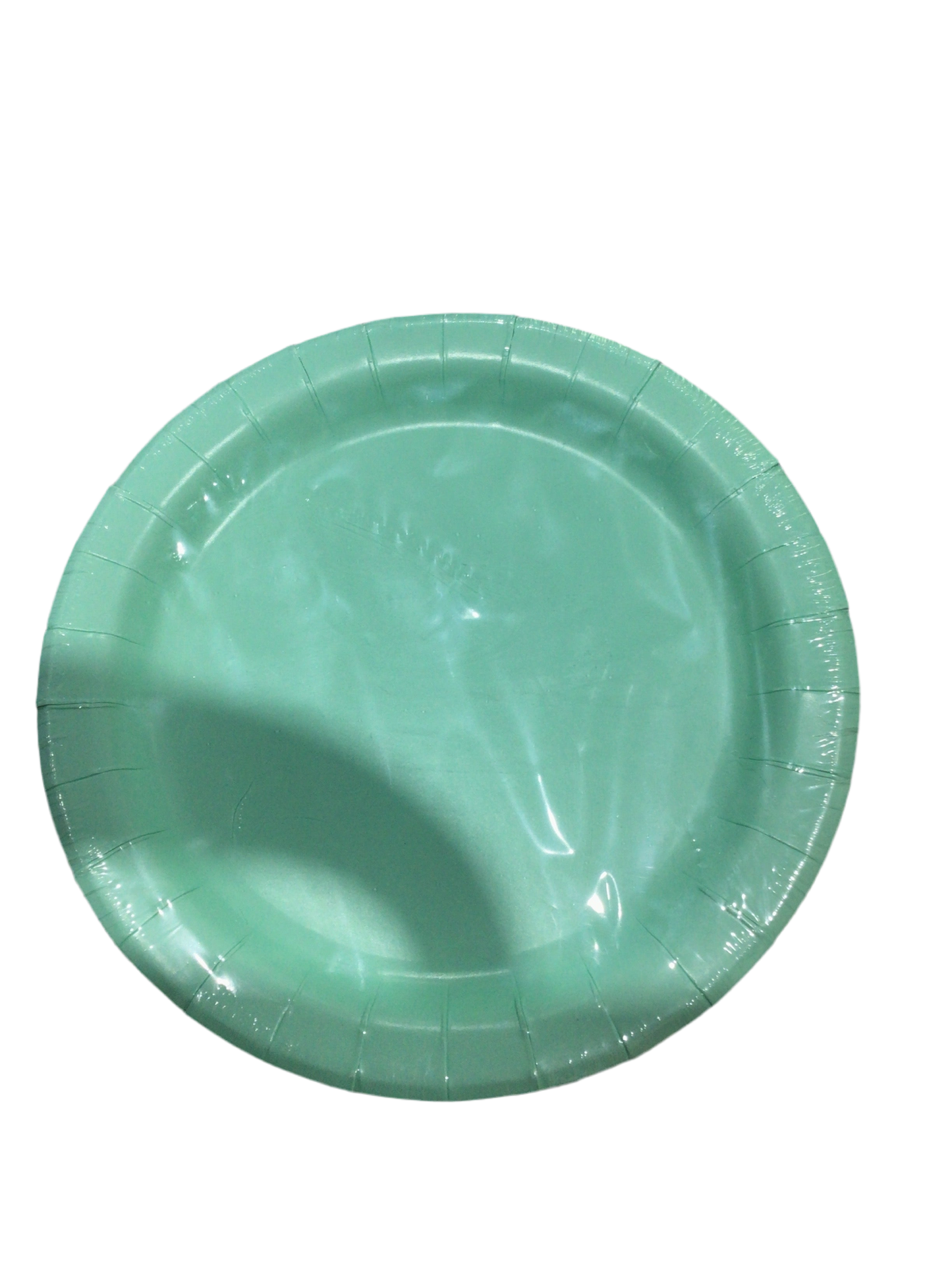 Plato desechable de cartón Menta mediano 17.3cm 24pcs