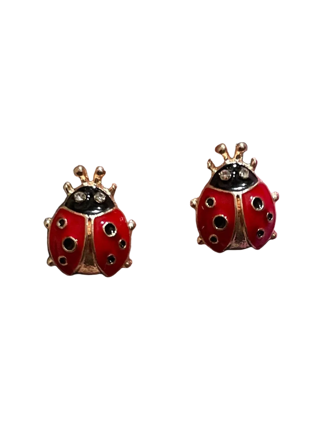 Aretes Catarinas