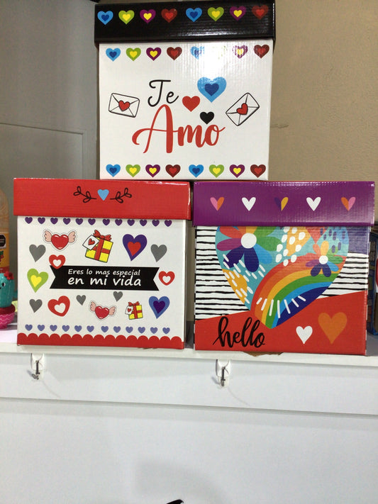 Caja de Regalo Mediana 25x25