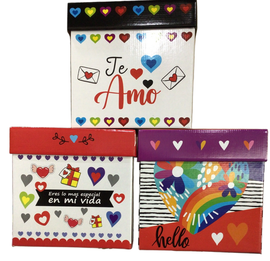 Caja de Regalo Mediana 25x25