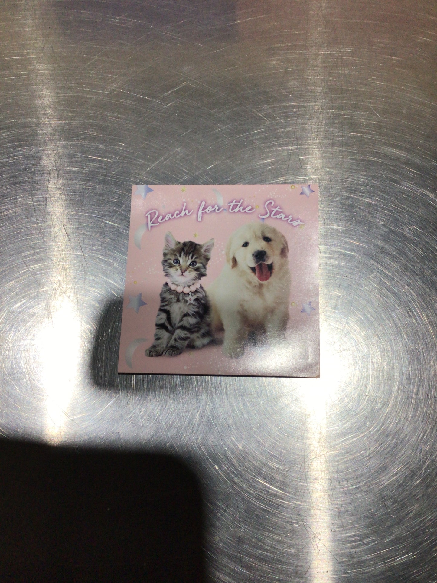 Notes valentine’s perritos individual