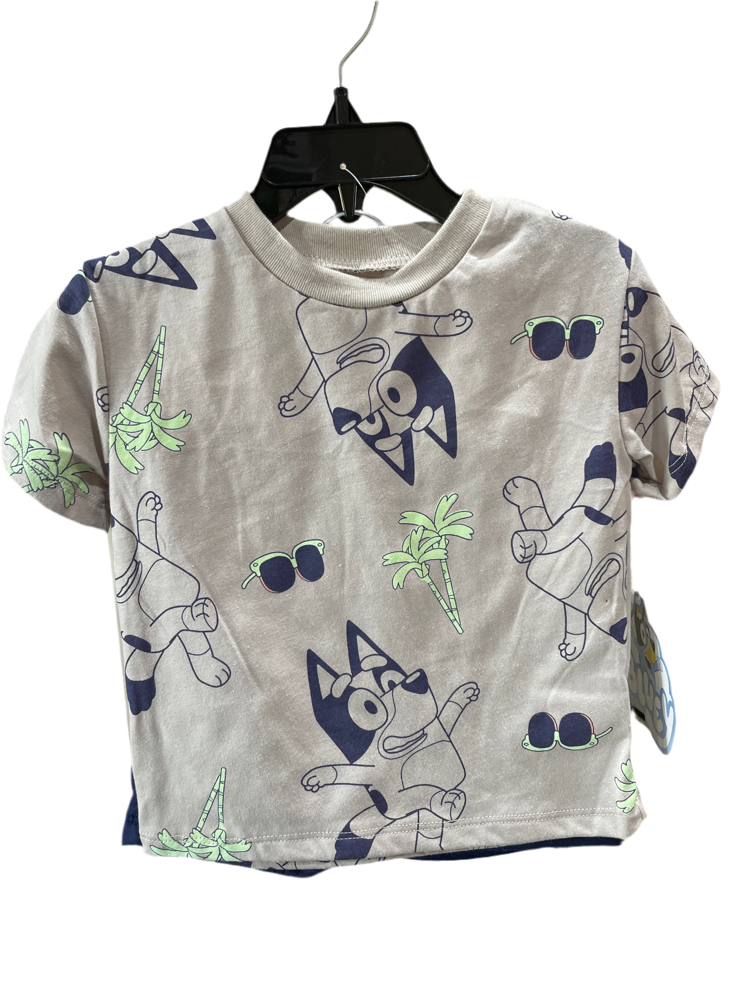 Conjunto Bluey 12M