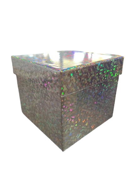Caja de Regalo Holográfica Chica Plata